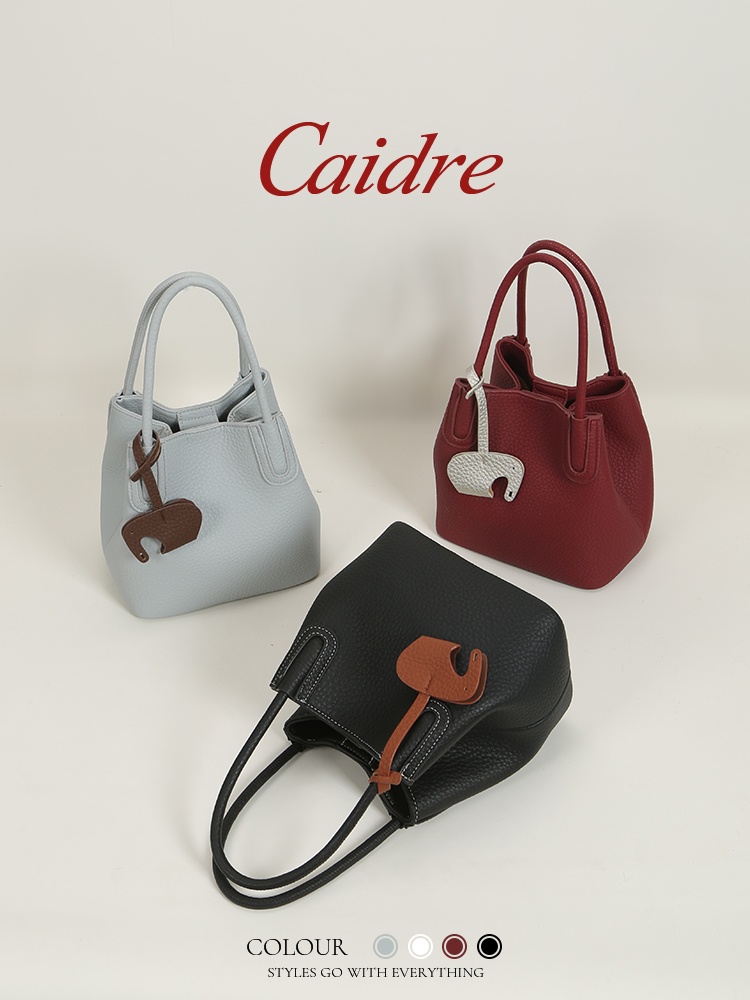 Caidre Luxe Tote Bag 2026 Nieu - Luxury Bags Korea recensie en prijs